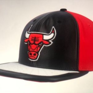 Chicago Bulls Mitchell and Ness NBA Day one Snapback hat red and black